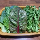 아리랑우렁쌈밥 이미지