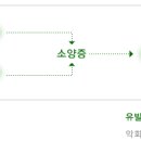 아토피성 피부염의 증상 이미지