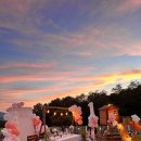 비행기나무 | 숲속에서 맞이한 조용한 하루, 강화도 비행기나무 펜션 후기 🌳