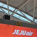 오층다나약국 | [일본] 극J의 극P체험 후기 오사카 3박4일 여행1