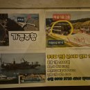 신조선삼겹살 | 안면도 갑오징어 낚시 하늘에펜션 낚시패키지 후기
