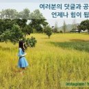 날마다복 두류점 이미지