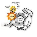 디오엠 이미지