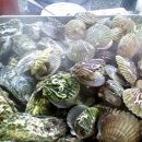 바다가고향 이미지