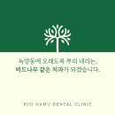 버드나무치과의원 네이버블로그