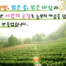 청일유기식품