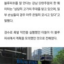 블루섬데이 이미지