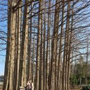 아가페 | 전주 근교 힐링 스팟, 익산 아가페정원 솔직 후기 ( 사진 명소 )