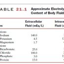 Re: Magnesium as a Neuroprotective Agent: A Review of Its Use in the Fetus, Term Infant with Neonatal Encephalopathy, and the Adult Stroke Patient 이미지