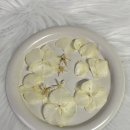 평촌1길 | 범계 부케말리기 후기｜일주일 지난 본식부케 살리기 (+도어벨)