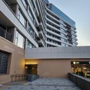 소노펠리체 델피노 | 고성 소노캄델피노 울산바위뷰 카페 소노펠리체 델피노 더엠브로시아 오픈런 팁 후기