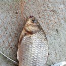 오빈낚시터(오빈저수지) 이미지