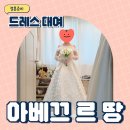 스튜디오카페느릿 | [W5] 온라인 드레스 대여 아베끄 르 땅 촬영 드레스 대여후기 견적 가격