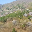 산안2리마을 이미지