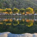 둥지캠핑장 이미지