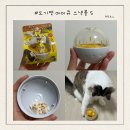 S스낵 | 내돈내산 도기맨 IQ 스낵볼 장난감 S 후기 고양이 간식 장난감 추천