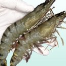 유진종합유통 이미지