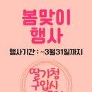 딸기씨네 수제청 이미지