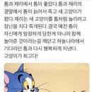 톰과제리 이미지