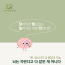 [알쓸놀잡] 청소년 뇌발달과 지능이야기