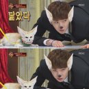사막여우