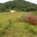 예동태양광발전소 이미지