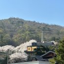 봉카페 | 남양주 봉커피 벚꽃카페, 아이랑 봄나들이 다녀온 후기