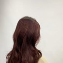 경하미용실 네이버블로그