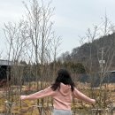 시호재