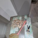 위례대로 이미지