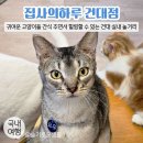 집사의 하루 건대점 이미지