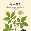 (주)오가 네이버블로그