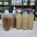 막걸리로 만든 천연식초 만들기 키트(종초) 유상 나눔 (선착순 3명) 이미지