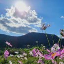 이민경 행정사 사무소 이미지