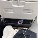 코타제주 | [제주항공] 코타키나발루 후기 좌석/수하물 규정/기내 물 반입 팁