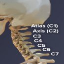 늘필라테스 이미지