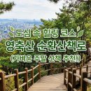 영축산순환산책로(광운대역) | [서울 노원구] 광운대 옆 숨은 힐링 명소, 영축산 순환산책로 등산 코스 및 유래 총정리