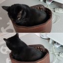 따시다 이미지