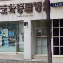 도화동물병원 | 마포구 도화동 동물병원 도화동물병원 위치 오는길 후기