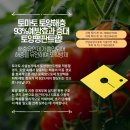 하나교 생태통로 앞 | 토마토 토양평판트랩, 해충, 산란해충, 토양속해충 피해 예방 효과 93% 증가!