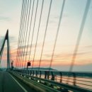 금강민물장어숯불구이 이미지