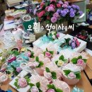 오휘컨설턴트 이미지