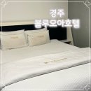 경주모텔 | 경주 블루모아 모텔 횡리단길 근처 숙소 내돈내산 리뷰