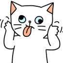 하이몰 이미지