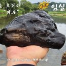 오수천1 Daum카페