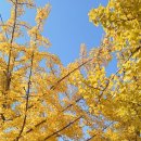 한사랑연합의원 이미지