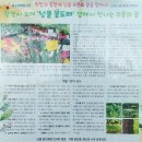 넝쿨에너지 이미지