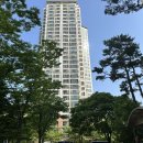인천별빛초등학교 네이버블로그