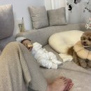 건하푸드