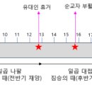 트럼프 4기(期) 마지막 문명의 시기 이미지